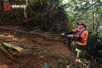 MĂNG ĐEN ULTRA TRAIL 2026 - Ảnh #4514285
