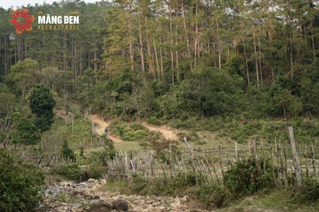 MĂNG ĐEN ULTRA TRAIL 2026 - Ảnh #4518601