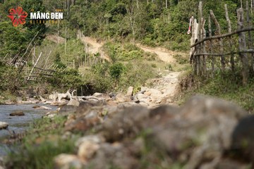 MĂNG ĐEN ULTRA TRAIL 2026 - Ảnh #4503536