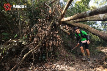 MĂNG ĐEN ULTRA TRAIL 2026 - Ảnh #4513315