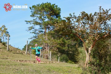 MĂNG ĐEN ULTRA TRAIL 2026 - Ảnh #4522696