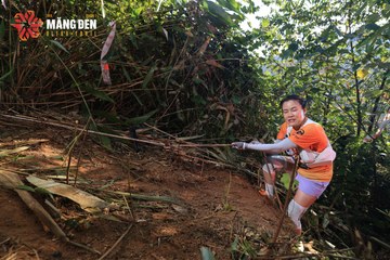 MĂNG ĐEN ULTRA TRAIL 2026 - Ảnh #4514290