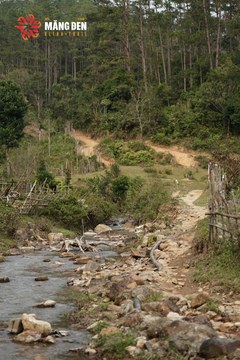 MĂNG ĐEN ULTRA TRAIL 2026 - Ảnh #4518661