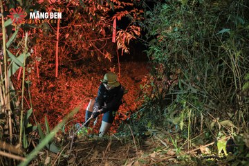 MĂNG ĐEN ULTRA TRAIL 2026 - Ảnh #4520791