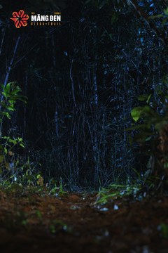 MĂNG ĐEN ULTRA TRAIL 2026 - Ảnh #4511243