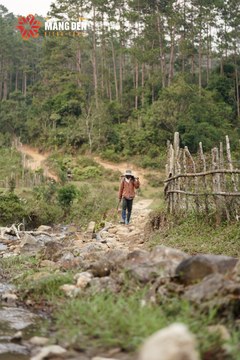 MĂNG ĐEN ULTRA TRAIL 2026 - Ảnh #4519156