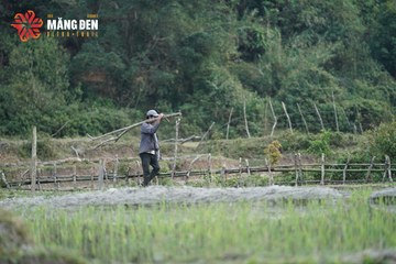 MĂNG ĐEN ULTRA TRAIL 2026 - Ảnh #4519672