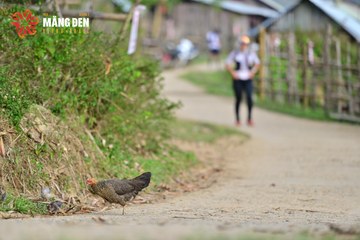 MĂNG ĐEN ULTRA TRAIL 2026 - Ảnh #4525120
