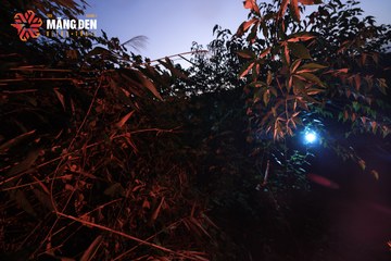 MĂNG ĐEN ULTRA TRAIL 2026 - Ảnh #4512639