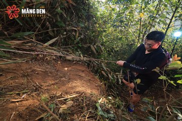 MĂNG ĐEN ULTRA TRAIL 2026 - Ảnh #4513065