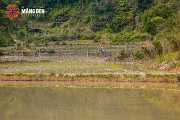 MĂNG ĐEN ULTRA TRAIL 2026 - Ảnh #4523346