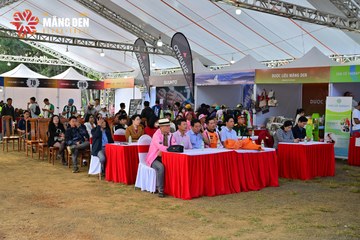 MĂNG ĐEN ULTRA TRAIL 2026 - Ảnh #4521478