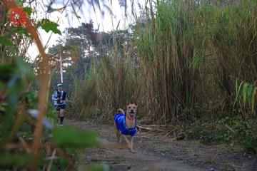 MĂNG ĐEN ULTRA TRAIL 2026 - Ảnh #4506791