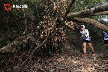 MĂNG ĐEN ULTRA TRAIL 2026 - Ảnh #4513341