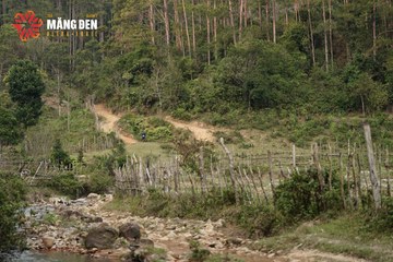 MĂNG ĐEN ULTRA TRAIL 2026 - Ảnh #4518611