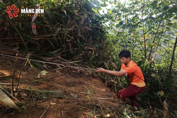 MĂNG ĐEN ULTRA TRAIL 2026 - Ảnh #4514217