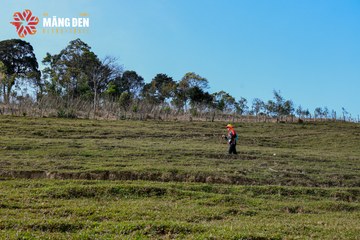MĂNG ĐEN ULTRA TRAIL 2026 - Ảnh #4522676