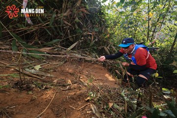 MĂNG ĐEN ULTRA TRAIL 2026 - Ảnh #4513116