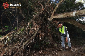MĂNG ĐEN ULTRA TRAIL 2026 - Ảnh #4515329