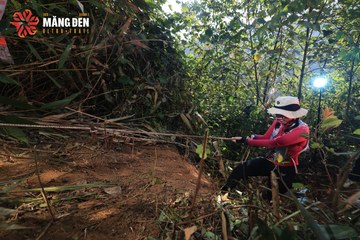 MĂNG ĐEN ULTRA TRAIL 2026 - Ảnh #4514306