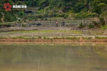 MĂNG ĐEN ULTRA TRAIL 2026 - Ảnh #4523363