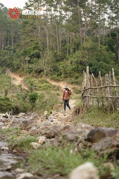 MĂNG ĐEN ULTRA TRAIL 2026 - Ảnh #4519155