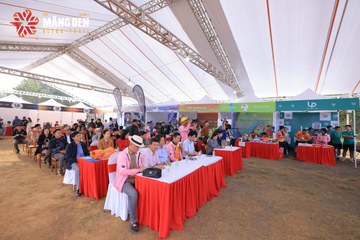 MĂNG ĐEN ULTRA TRAIL 2026 - Ảnh #4519886