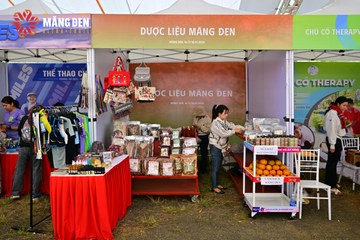 MĂNG ĐEN ULTRA TRAIL 2026 - Ảnh #4520338