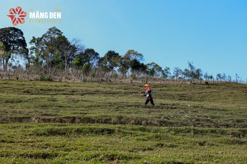 MĂNG ĐEN ULTRA TRAIL 2026 - Ảnh #4522678