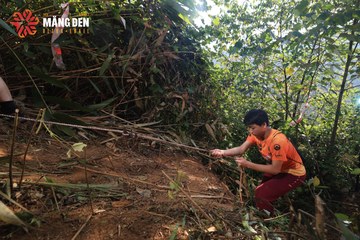 MĂNG ĐEN ULTRA TRAIL 2026 - Ảnh #4514216