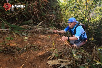 MĂNG ĐEN ULTRA TRAIL 2026 - Ảnh #4512930