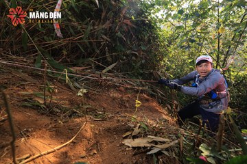 MĂNG ĐEN ULTRA TRAIL 2026 - Ảnh #4512975