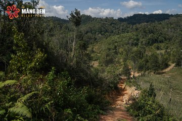 MĂNG ĐEN ULTRA TRAIL 2026 - Ảnh #4504419