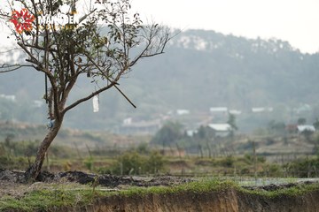 MĂNG ĐEN ULTRA TRAIL 2026 - Ảnh #4518665