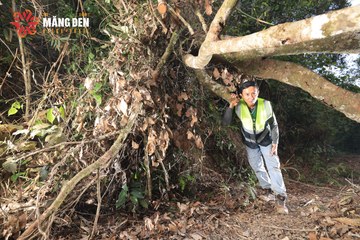MĂNG ĐEN ULTRA TRAIL 2026 - Ảnh #4513387