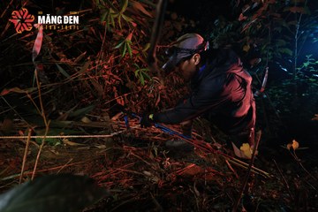 MĂNG ĐEN ULTRA TRAIL 2026 - Ảnh #4512460