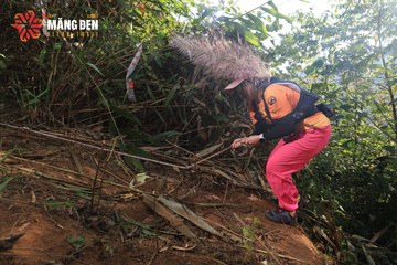MĂNG ĐEN ULTRA TRAIL 2026 - Ảnh #4513232