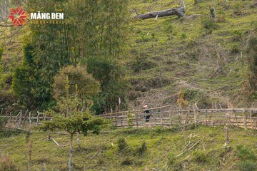 MĂNG ĐEN ULTRA TRAIL 2026 - Ảnh #4523348