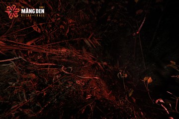 MĂNG ĐEN ULTRA TRAIL 2026 - Ảnh #4512492