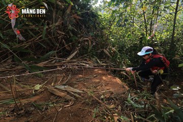 MĂNG ĐEN ULTRA TRAIL 2026 - Ảnh #4514121