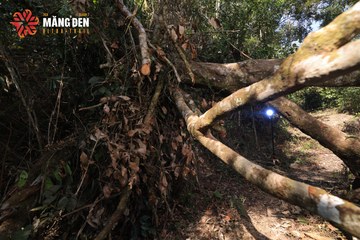 MĂNG ĐEN ULTRA TRAIL 2026 - Ảnh #4514482