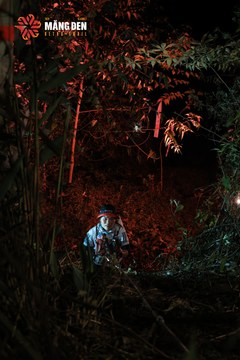 MĂNG ĐEN ULTRA TRAIL 2026 - Ảnh #4521031