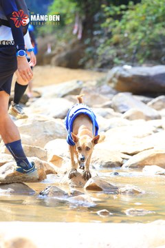 MĂNG ĐEN ULTRA TRAIL 2026 - Ảnh #4509886