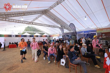 MĂNG ĐEN ULTRA TRAIL 2026 - Ảnh #4519953