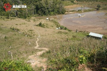 MĂNG ĐEN ULTRA TRAIL 2026 - Ảnh #4504423
