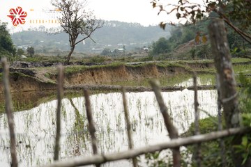 MĂNG ĐEN ULTRA TRAIL 2026 - Ảnh #4518664