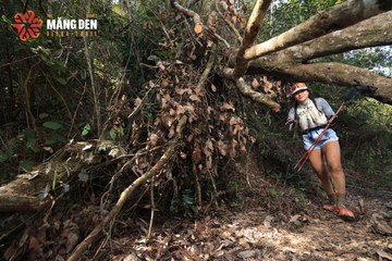 MĂNG ĐEN ULTRA TRAIL 2026 - Ảnh #4514490