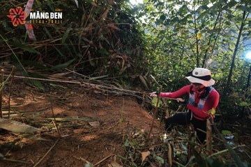 MĂNG ĐEN ULTRA TRAIL 2026 - Ảnh #4514307