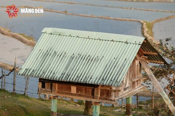 MĂNG ĐEN ULTRA TRAIL 2026 - Ảnh #4523099