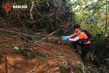 MĂNG ĐEN ULTRA TRAIL 2026 - Ảnh #4513017
